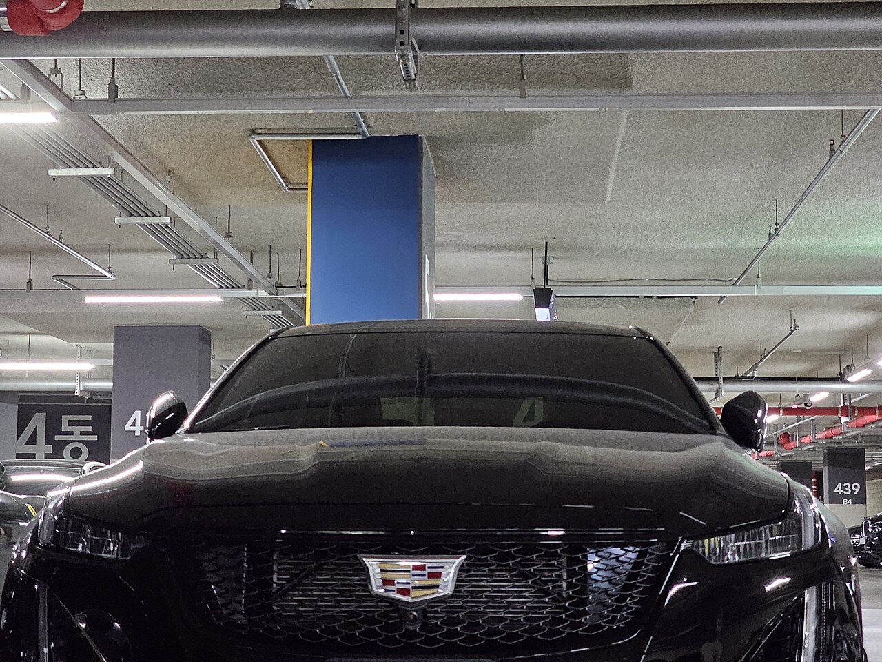 Cadillac CT5-V: The performance CT5. Twin-turbo V6 in standard V trim, supercharged V8 in Blackwing form.